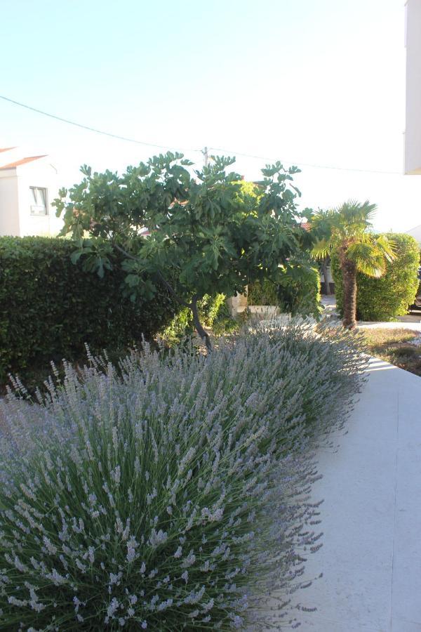 Apartamento Opera 3 Zadar Exterior foto